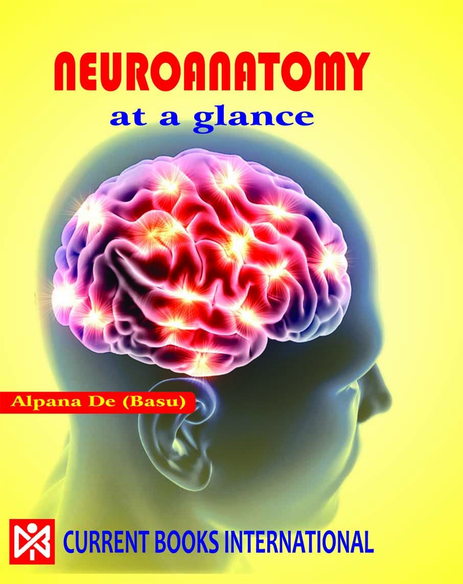 NEUROANATOMY