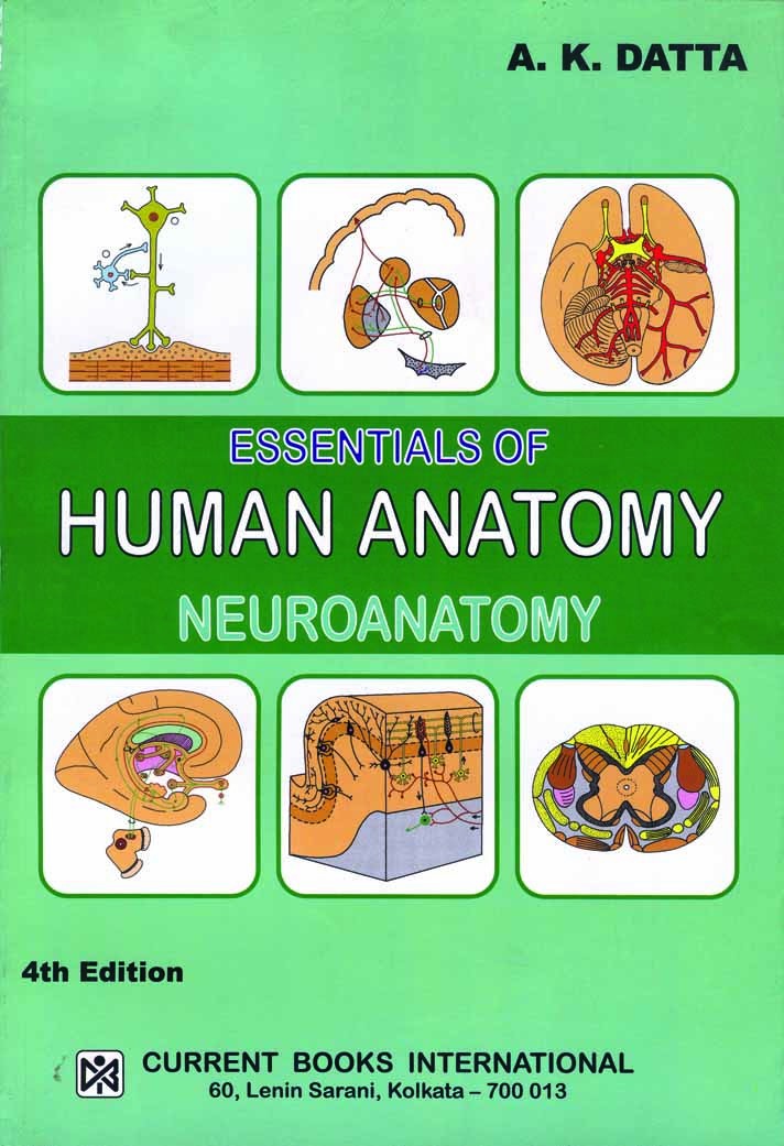 ESSENTIALS of HUMAN ANATOMY PART - IV : NEUROANATOMY